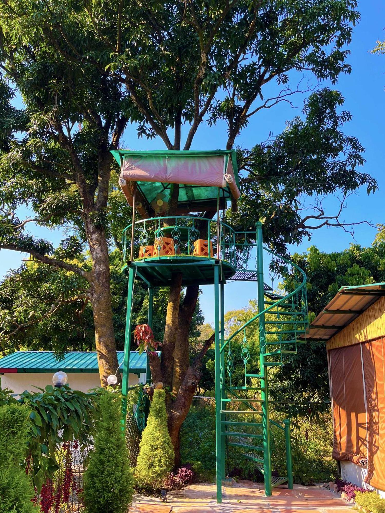 Hotel O Royal Tree Cafe And Resort デヘラードゥーン エクステリア 写真